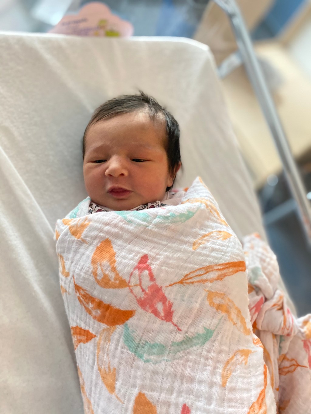 Welcome, Josephine Rose&nbsp;Backhaus