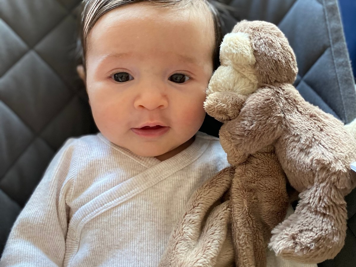 Daily Dose of&nbsp;Josephine